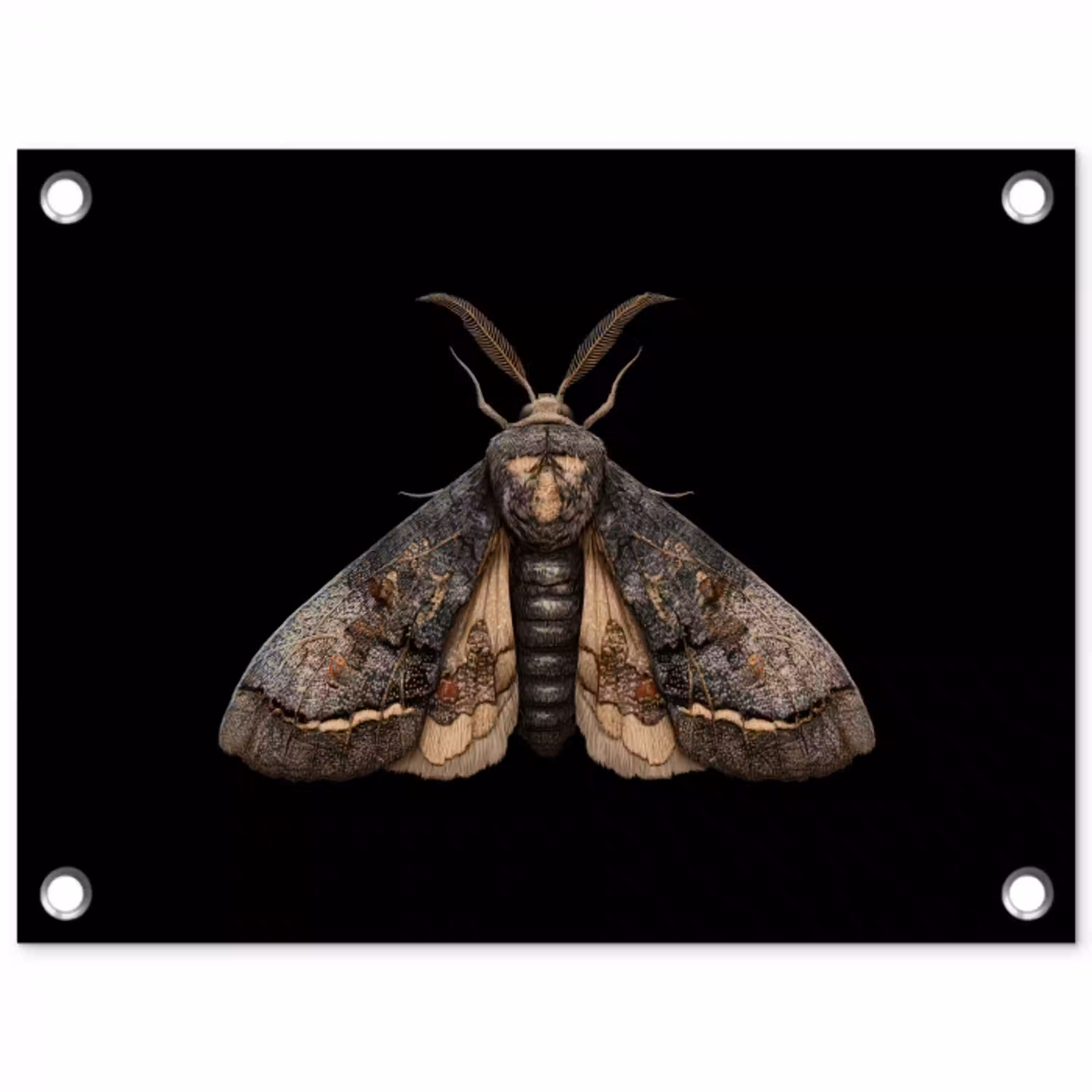 Mot - Bladachtig - Grijs tuinposter los doek klein -3d