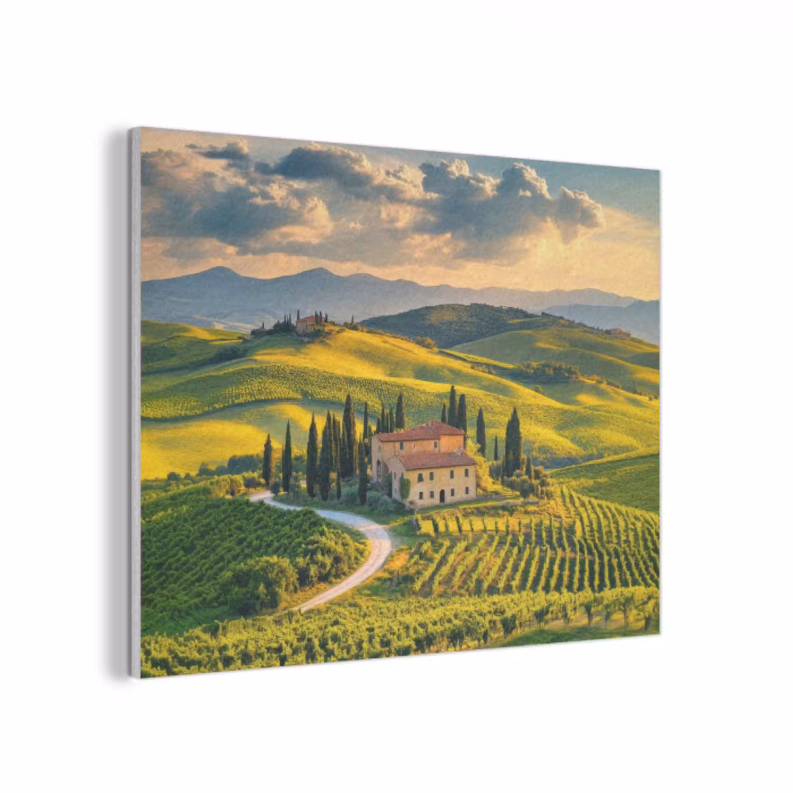 Toscane - Landschap - Wijngaarden PET vilt klein -3d