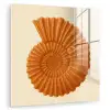 Schelp - Oranje - Ribbels plexiglas 5mm klein -zzzproduct_nieuw