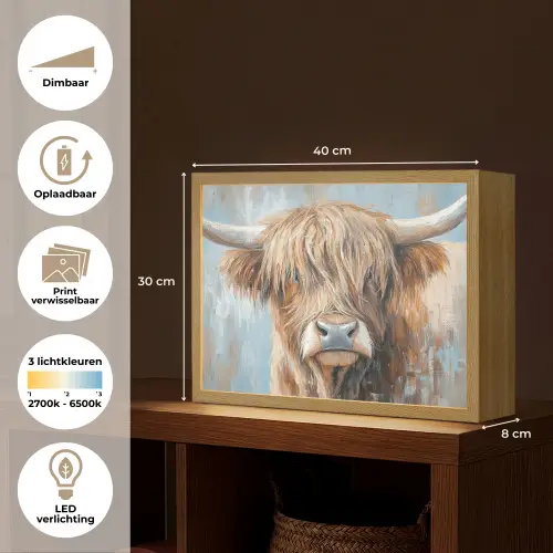 Schotse hooglander - Dieren - Koe - Street art Light Box met batterij (Wandlamp) middel -USP_websiteoverzichtNL