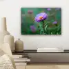 Aster - Paars - Bloem - Blaadjes canvas 2cm klein -sfeer6