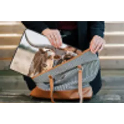 Texas Longhorn - Kalf - Weide - Dieren laptophoes neopreen klein -tas