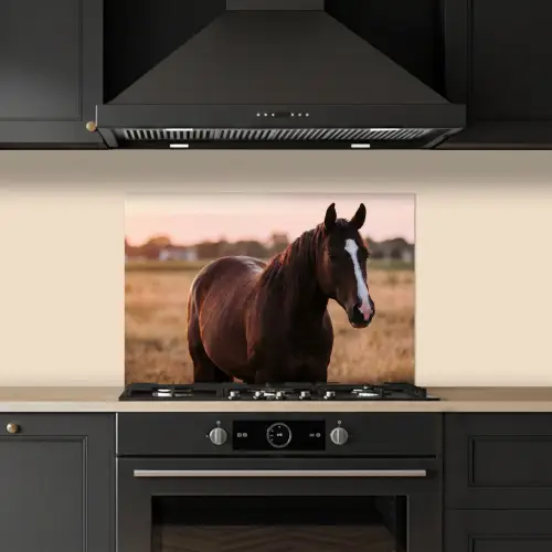 Paard - Zonsondergang - Bruin keuken achterwand spatscherm klein -sfeer1