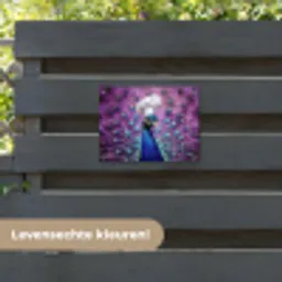 Pauw - Koksmuts - Cool - Paars tuinposter los doek klein -sfeer3