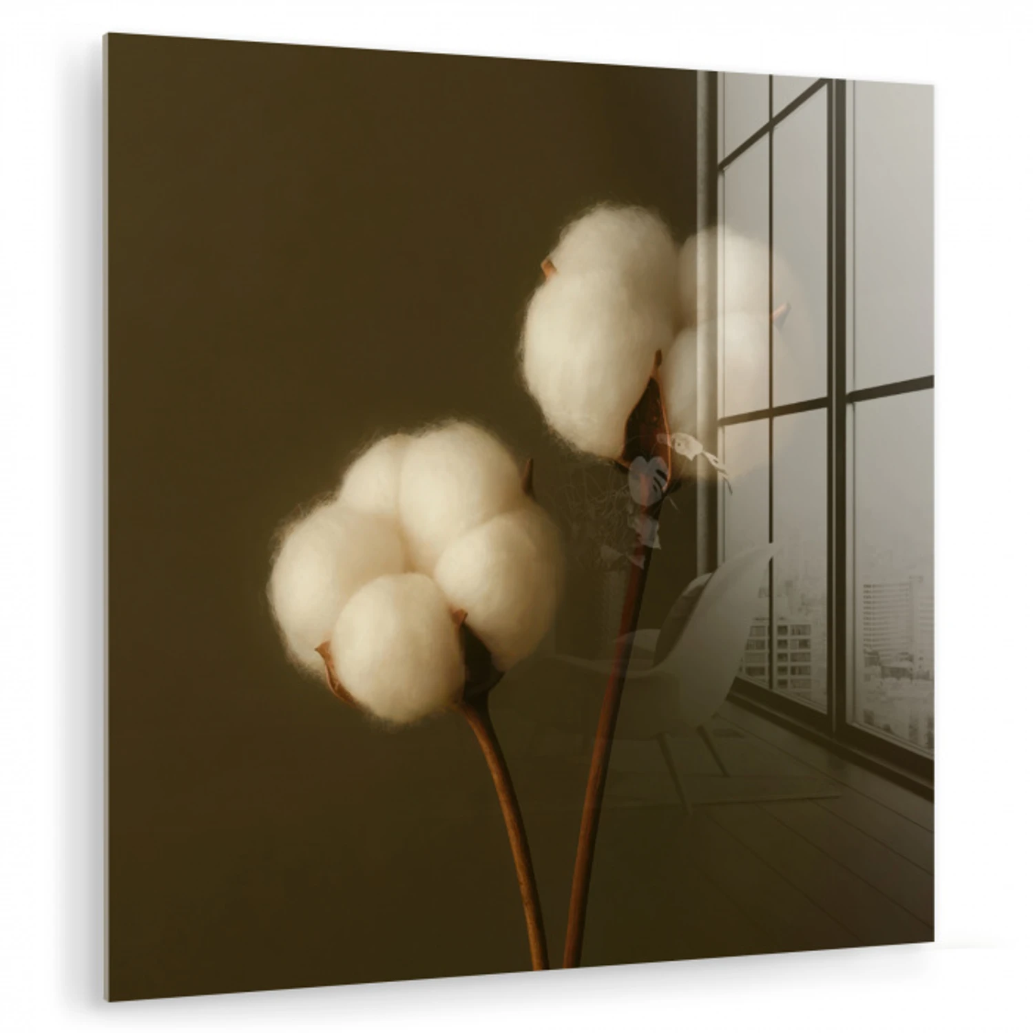 Takken - Katoen - Wit - Bollen plexiglas 5mm klein -zzzproduct_nieuw