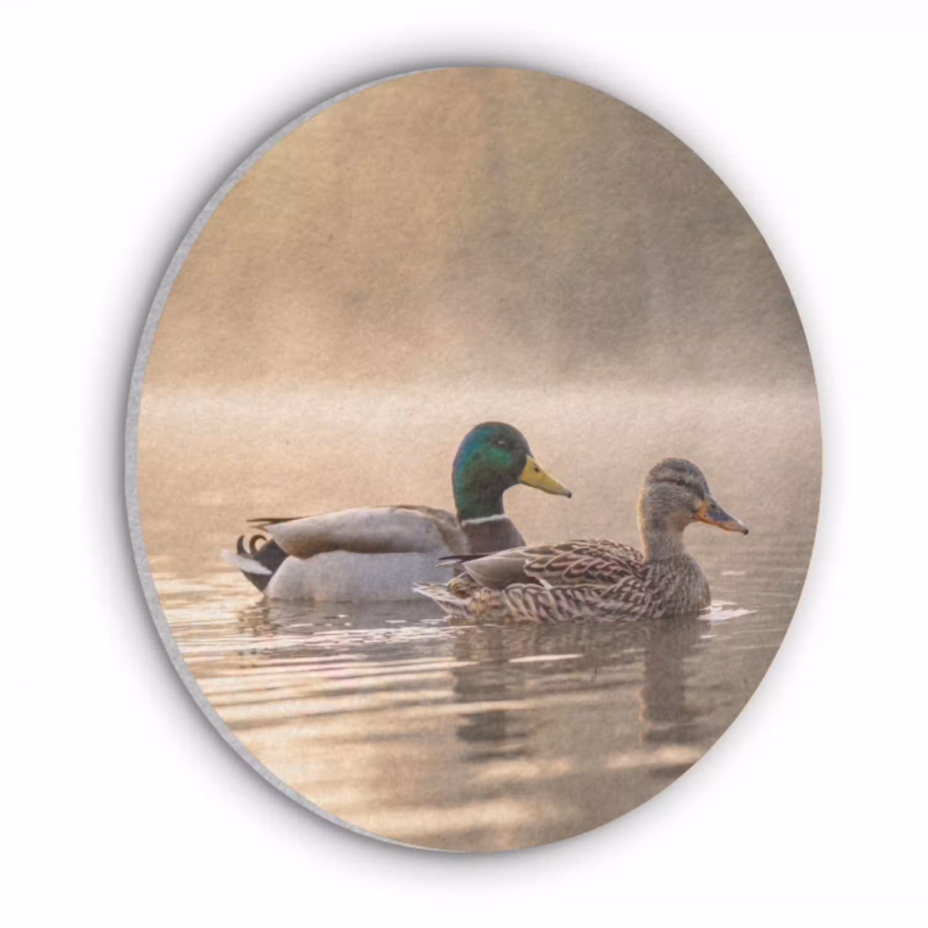Eenden - Water - Mist - Natuur Akoestische PET Vilt - Rond klein -3d