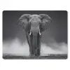 Olifant - Zwart - Wit - Rook muismat rubber klein -3d