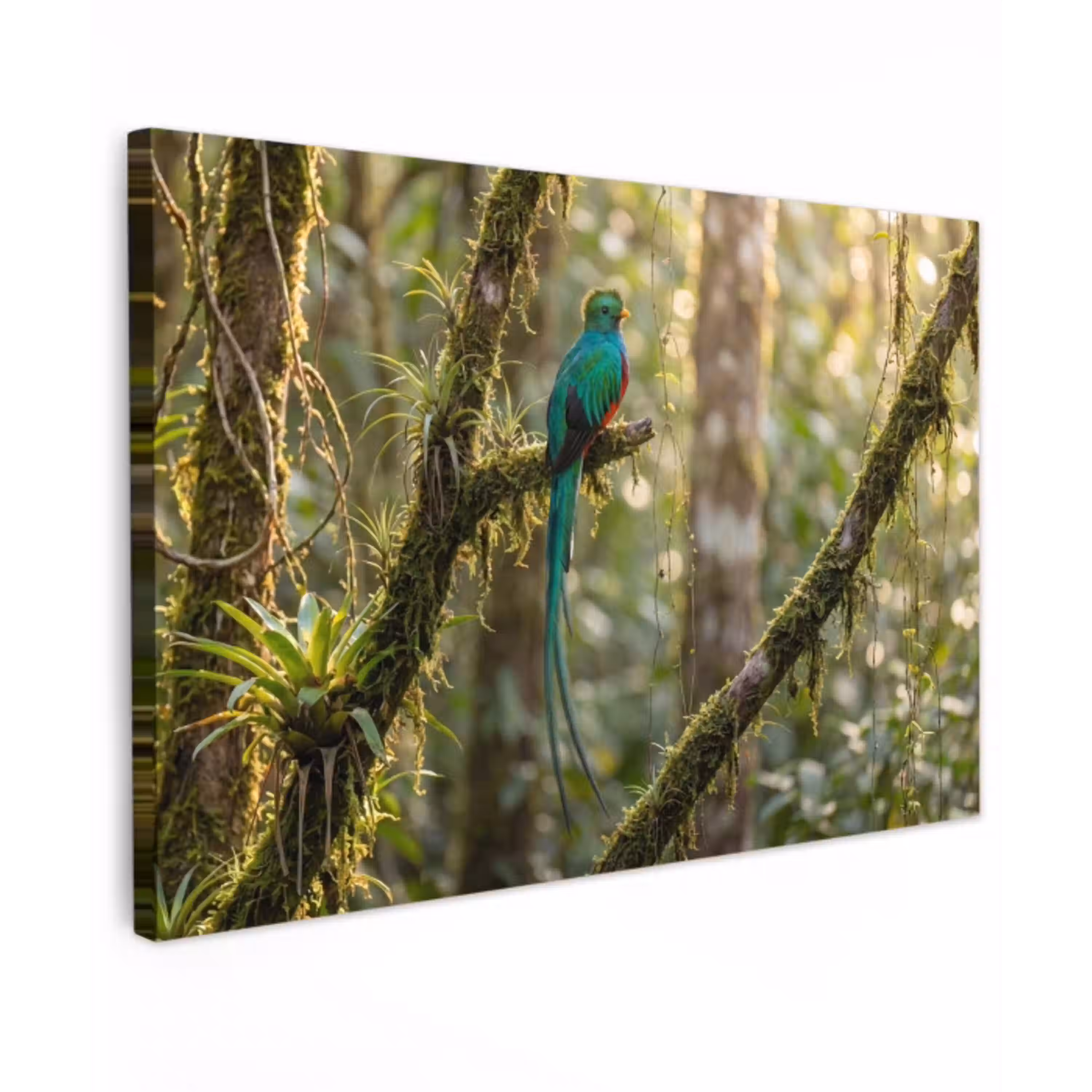 Quetzal - Jungle - Natuur - Groen Tuinposter op houten frame 2 cm dik klein -3d