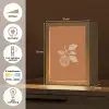 Sinaasappel - Getekend - Bladeren - Bruin Light Box met kabel (Tafellamp) klein -USP_NL