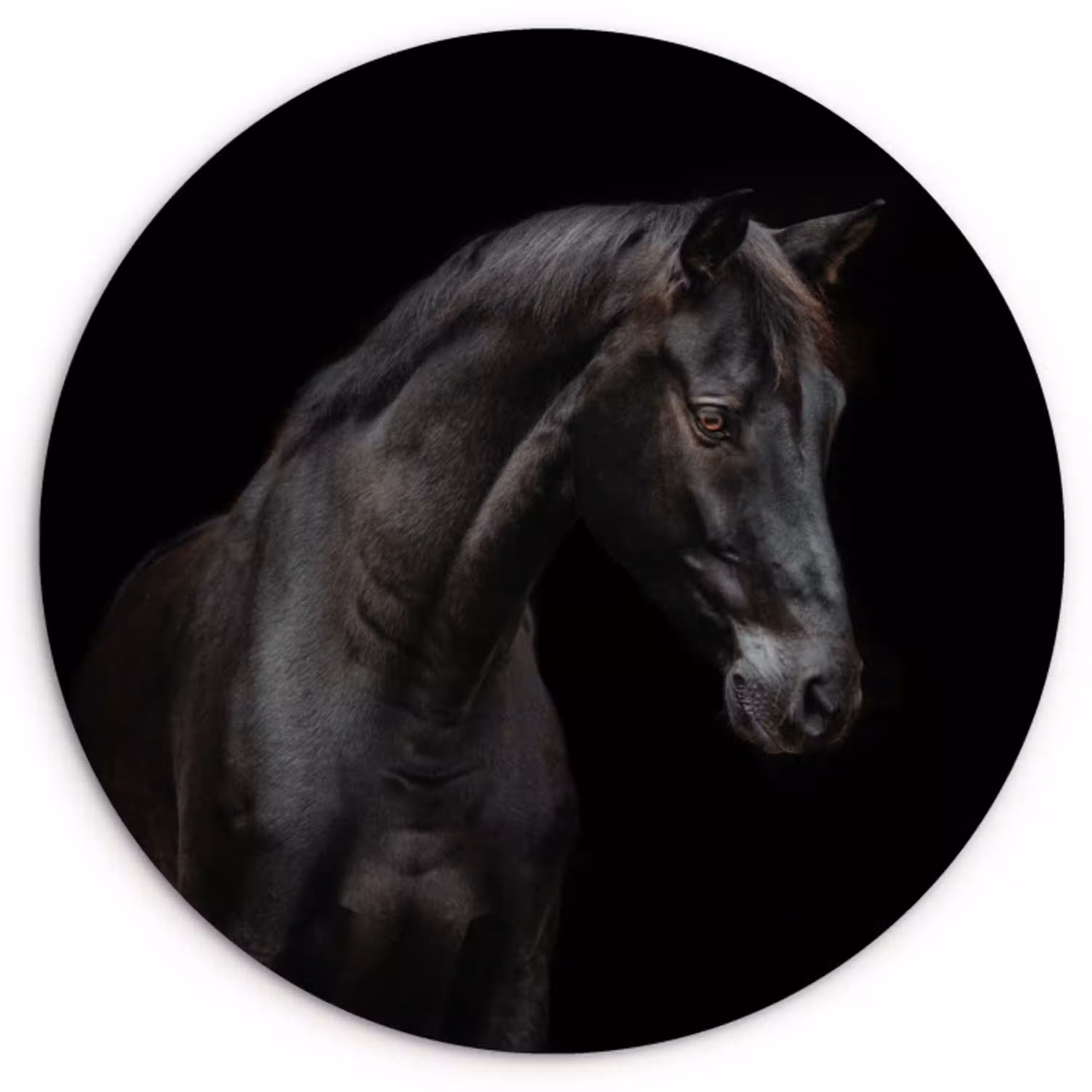 Paard - Dieren - Zwart - Portret Wandcirkel kunststof plaat 5mm dik klein -3d