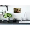 Dennenappels - Kerstsfeer - Bruin - Groen Muursticker klein -keuken