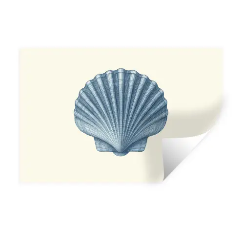 Ribbels - Blauw - Schelp Muursticker klein -3d