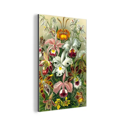 Planten - Natuur - Bloemen - Ernst Haeckel aluminium wit klein -3d