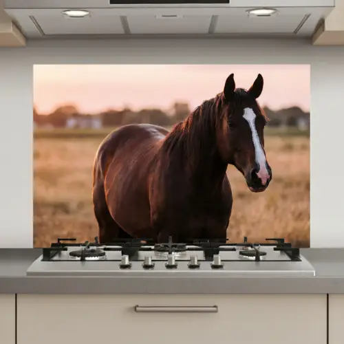 Paard - Zonsondergang - Bruin keuken achterwand spatscherm klein -3d_website