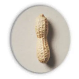 Pinda - Ruw - Beige Akoestische PET Vilt - Rond klein -3d