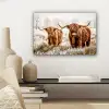 Schotse hooglander - Koe - Natuur - Winter canvas 2cm klein -sfeer6