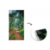 Pad - Bomen - Schaduw - fotobehang vinyl groot -3d