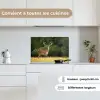 Hert - Gewei - Gras - Natuur - Dieren - Groen keuken achterwand spatscherm klein -sfeer4_FR