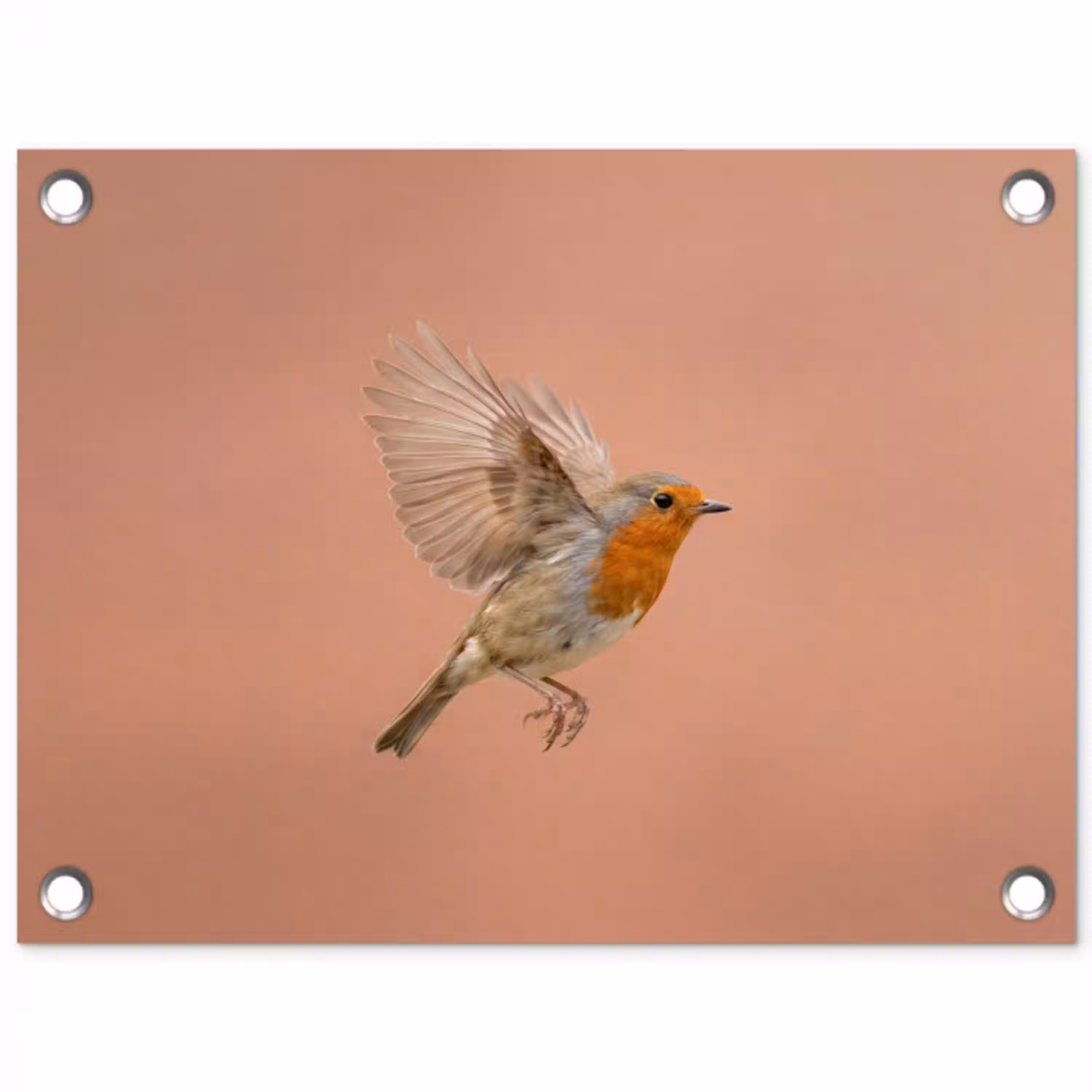 Roodborst - Natuur - Roze tuinposter los doek klein -3d