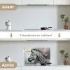 Zebra - Wilde dieren - Vlinder - Bloemen keuken achterwand spatscherm klein -voor_na_FR