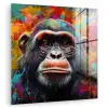 Chimpansee - Graffiti - Kleurrijk plexiglas 5mm klein -zzzproduct_nieuw