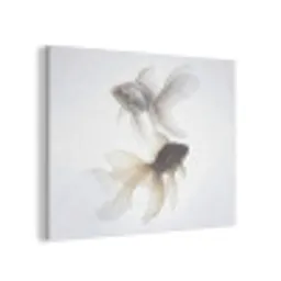 Goudvissen - Modern - Wit PET vilt klein -3d