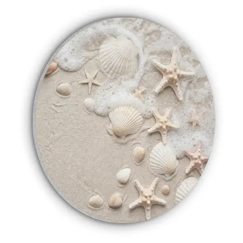 Schelpen - Zeesterren - Strand Akoestische PET Vilt - Rond klein -3d