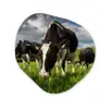 Koeien - Dieren - Gras - Weiland - Boerderij Wandcirkel Organisch Forex 3mm klein -3d