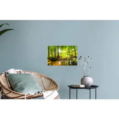 Bos - Landschap - Water - Bomen - Zon - Groen Muursticker klein -plant