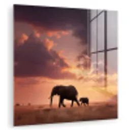Olifanten - Grasland - Zonsondergang plexiglas 5mm klein -zzzproduct_nieuw