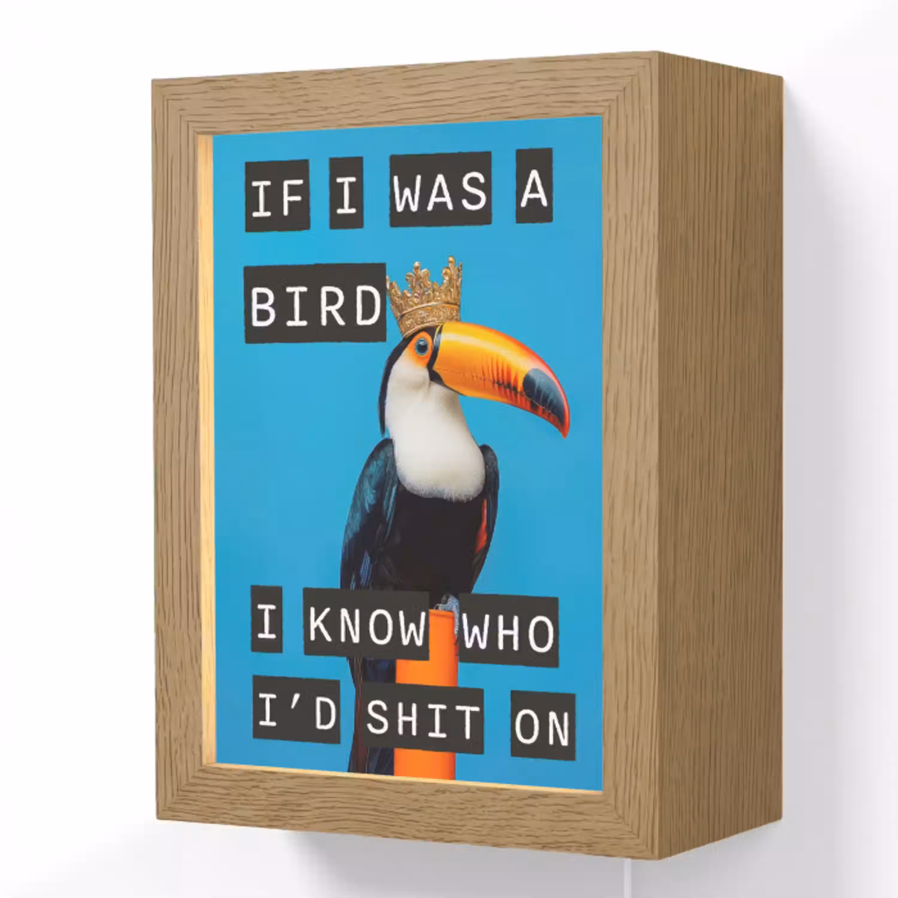 Vogel - Toekan - Blauw - Quotes Light Box met kabel (Wandlamp) klein -3d