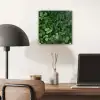 Groen - Bladeren - Kartel - Zonlicht plexiglas 5mm klein -sfeer6