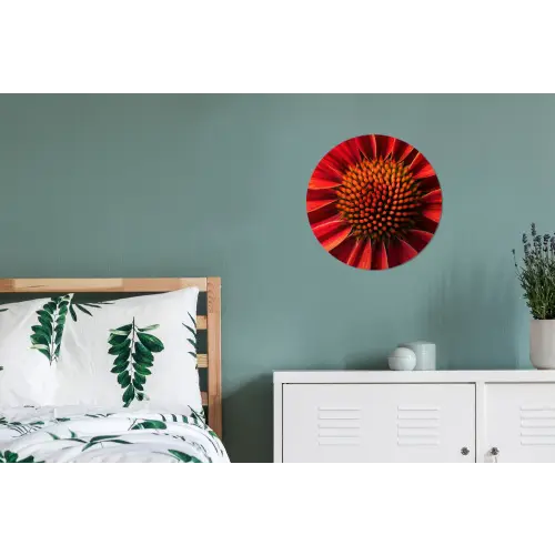 Close up - Bloem- Rood Wandcirkel aluminium klein -slaapkamer