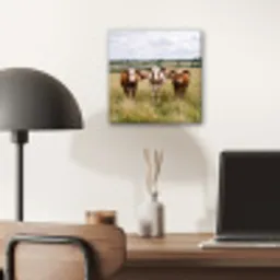 Koeien - Portret - Weide - Boerderij - Nieuwsgierig aluminium wit klein -sfeer5