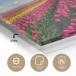 Tulpen - Holland - Molen - Kleurrijk plexiglas 5mm klein -sfeer2
