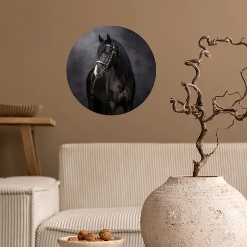 Portret - Paard - Zwart Wandcirkel behangsticker klein -sfeer1