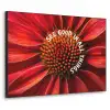 Close up - Bloem - Quote - Rood Textielframe zwart klein -3d