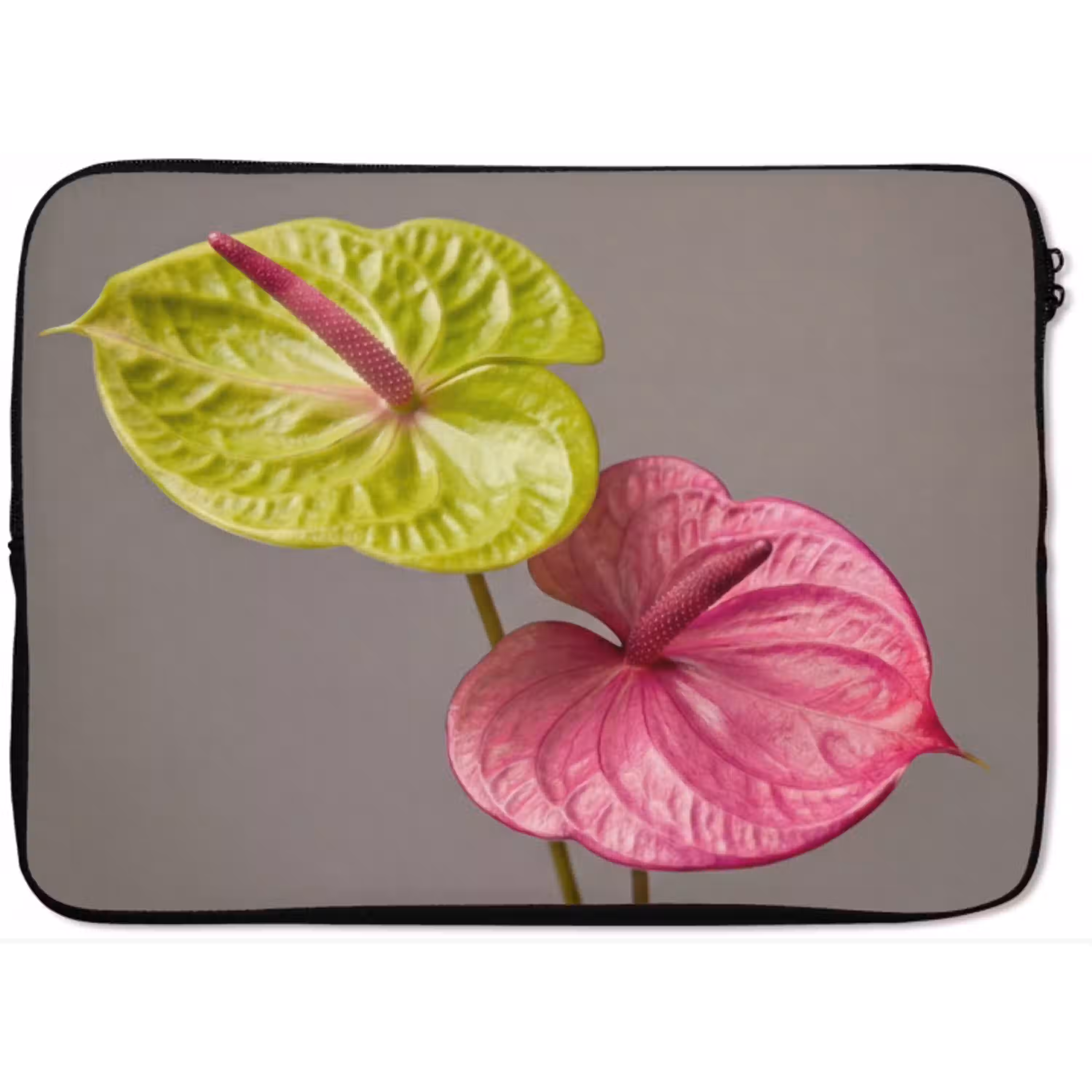 Planten - Anthurium - Groen - Roze laptophoes neopreen klein -zkaufland3dotto