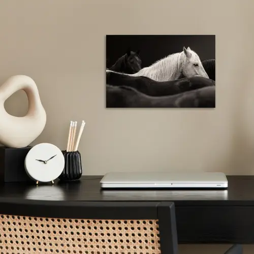 Paarden - Zwart - Wit - Kudde poster papier klein -sfeer1