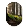 Zon - Takken - Bomen - Bos - Natuur Wandcirkel Ovaal Forex klein -3d