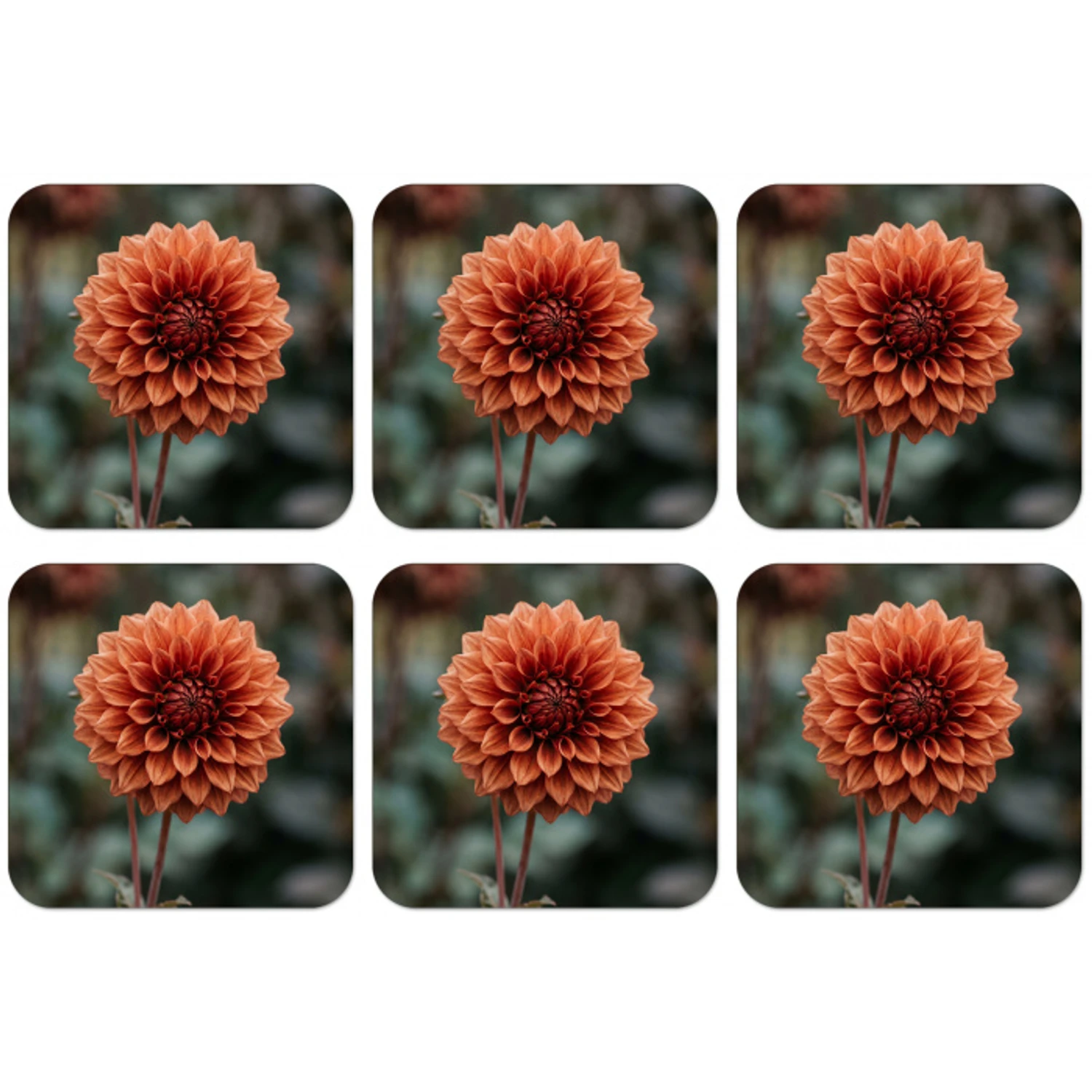 Dahlia - Bloem - Natuur - Sfeervol onderzetter kurk middel -zkaufland3dotto