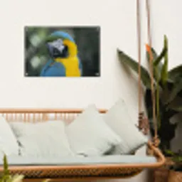 Vogel - Papegaai - Blauw tuinposter los doek klein -sfeer7