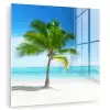 Palmboom - Strand - Zee - Zomer plexiglas 5mm klein -zzzproduct_nieuw