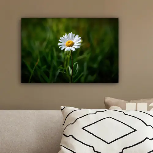 Wit - Madeliefje - Bloem - Gras canvas 2cm klein -sfeer3