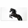Zwart - Paard - Portret Muismat XXL klein -3d_leeg