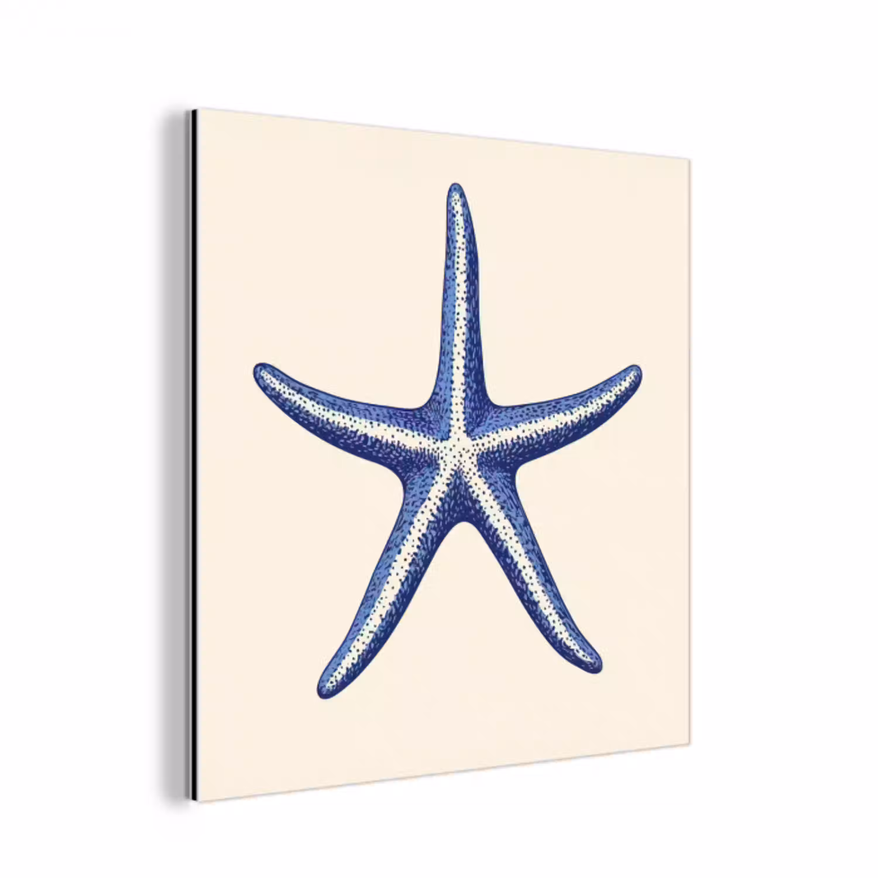 Blauwe zeester - Minimalistisch - Beige aluminium wit klein -3d