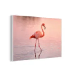 Flamingo - Water - Roze forex 5mm xxl -3d