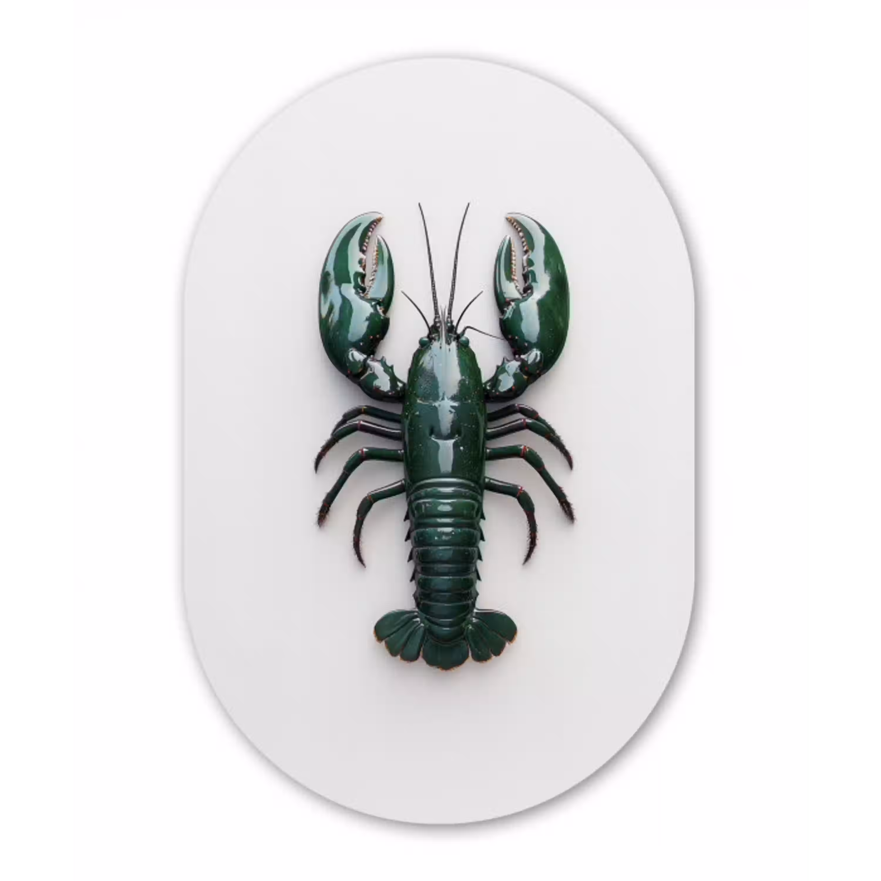 Kreeft - Glossier - Groen - Wit Wandcirkel Ovaal Glas middel -3d