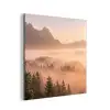 Zonlicht - Mist - Bergen - Bomen aluminium wit klein -3d