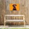 Hond - Oranje - Roos - Valentijn Tuinposter op houten frame 2 cm dik klein -sfeer4